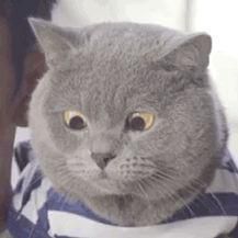 眼霜 低调又好用的品牌有哪些？（抗衰老篇）