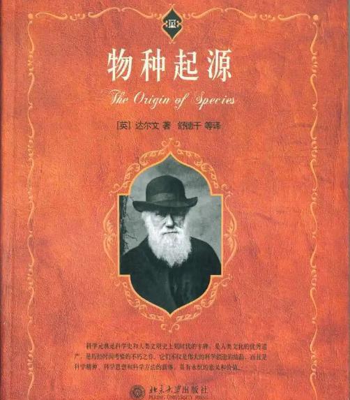 也许人类才是外星人?人类身体多项反常特征,让人细思极恐