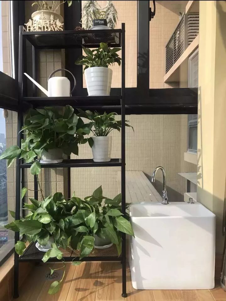 家用拖把池,价格便宜,使用舒适,为什么很少人买?来听听大实话