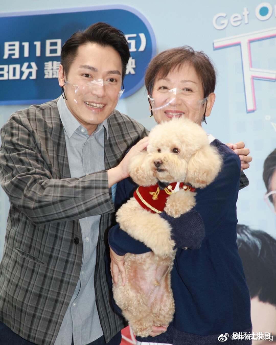 林景程|或再出“双黄蛋”?TVB“飞跃进步奖”引关注,3位大热门呼声高