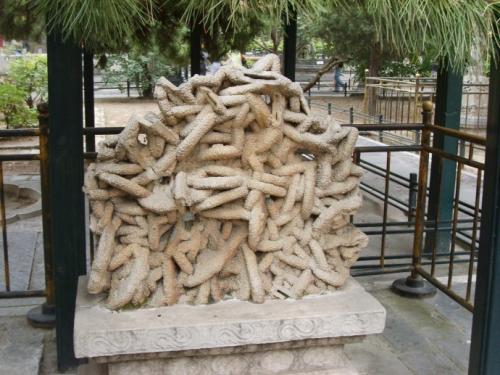 乾隆|故宫御花园有三块奇石，为何只有木化石，得到了乾隆的题字