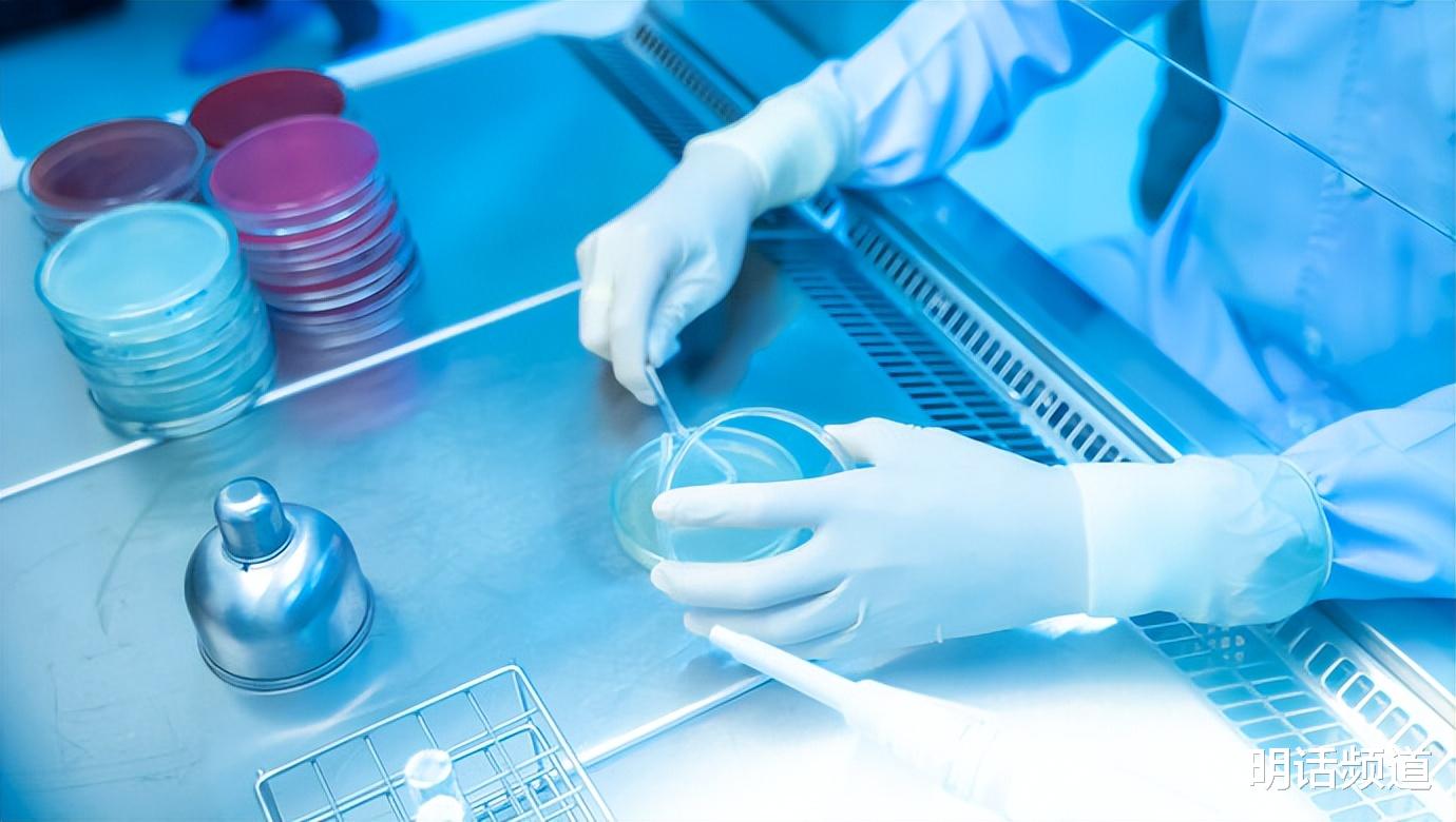 枊叶刀学者称新冠可能起源于美国实验室,等着看他们如何回应