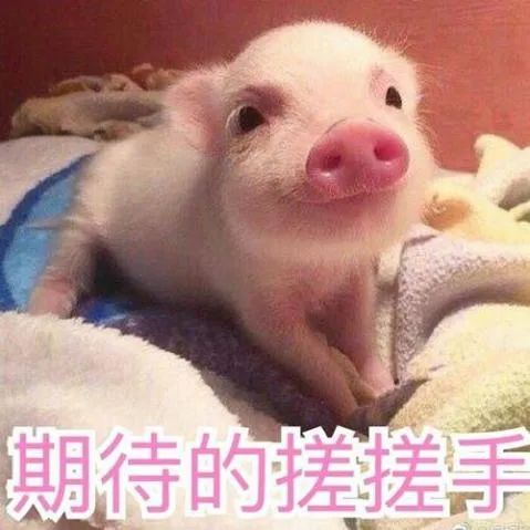 涂磊|工作不顺的职场妈妈这一做法惊呆众人,涂磊直言:成年人不该这么做!