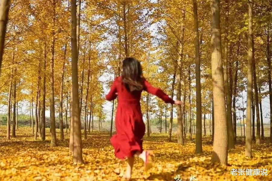 脾胃|深秋养生,这些“宝贝”不可或缺,不妨多准备一点