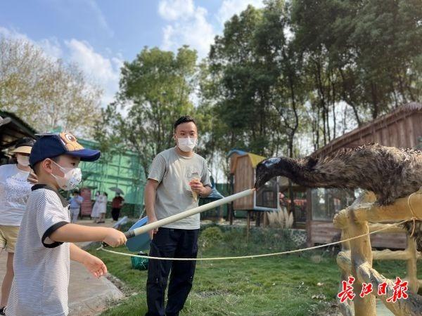 武汉|武汉乡村近郊游火爆！这些绝佳去处，不出远门也能玩尽兴