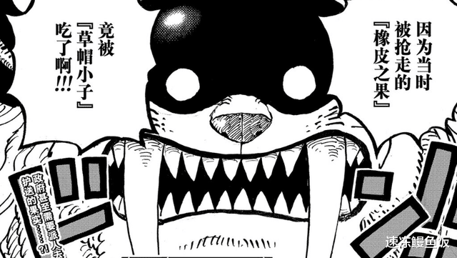 海賊王|海賊王1037話：傳說中的果實，被五老星視為威脅