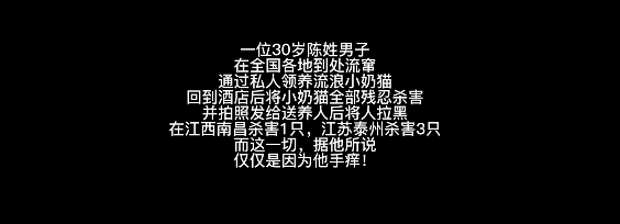 一群纹身男人怒了：虐待动物的人，最窝囊！