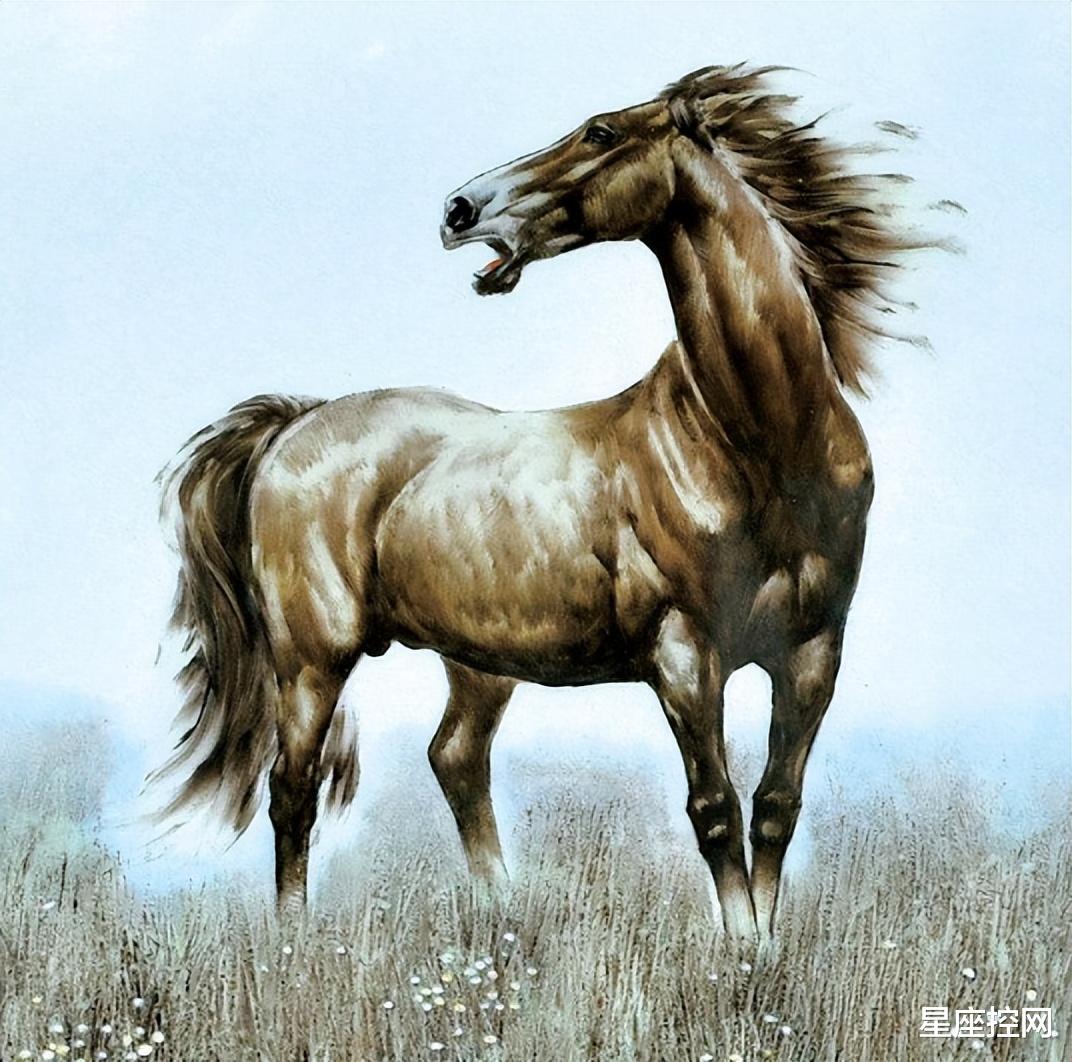 生肖|上半年到下半年一路顺畅的生肖,钱到了,苦散了,阳光满面