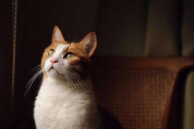 |一个人是不是富贵命 ，到40岁左右就能看出来，两个细节很关键