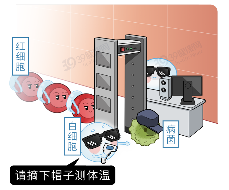 三伏天|免疫力是最有效的“药物”,5种食物营养好,适当多吃,免疫力强