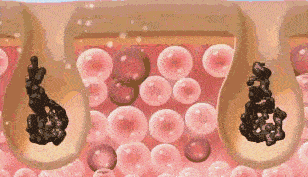 护肤 李小冉“护肤秘诀”火了，轻松养成光滑婴儿肌，金晨：我都用2年了