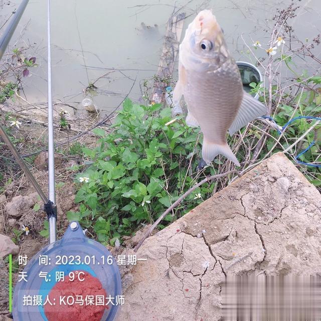 |迈着沉重的步伐，也要将钓鱼进行到底！