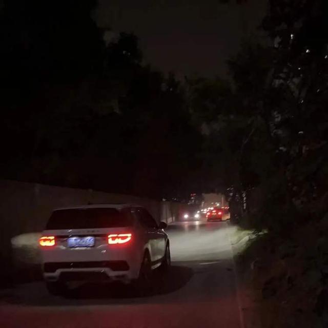 Selina|00后整顿职场?你还真信