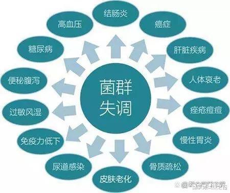 动脉粥样硬化|最新研究：粪菌移植改善血糖、血脂、血压、动脉硬化，提高免疫力