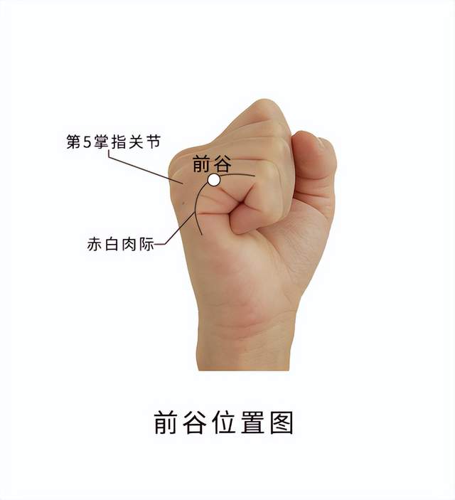 抗癌|经络穴位,一日一学——前谷,可泻火治口疮