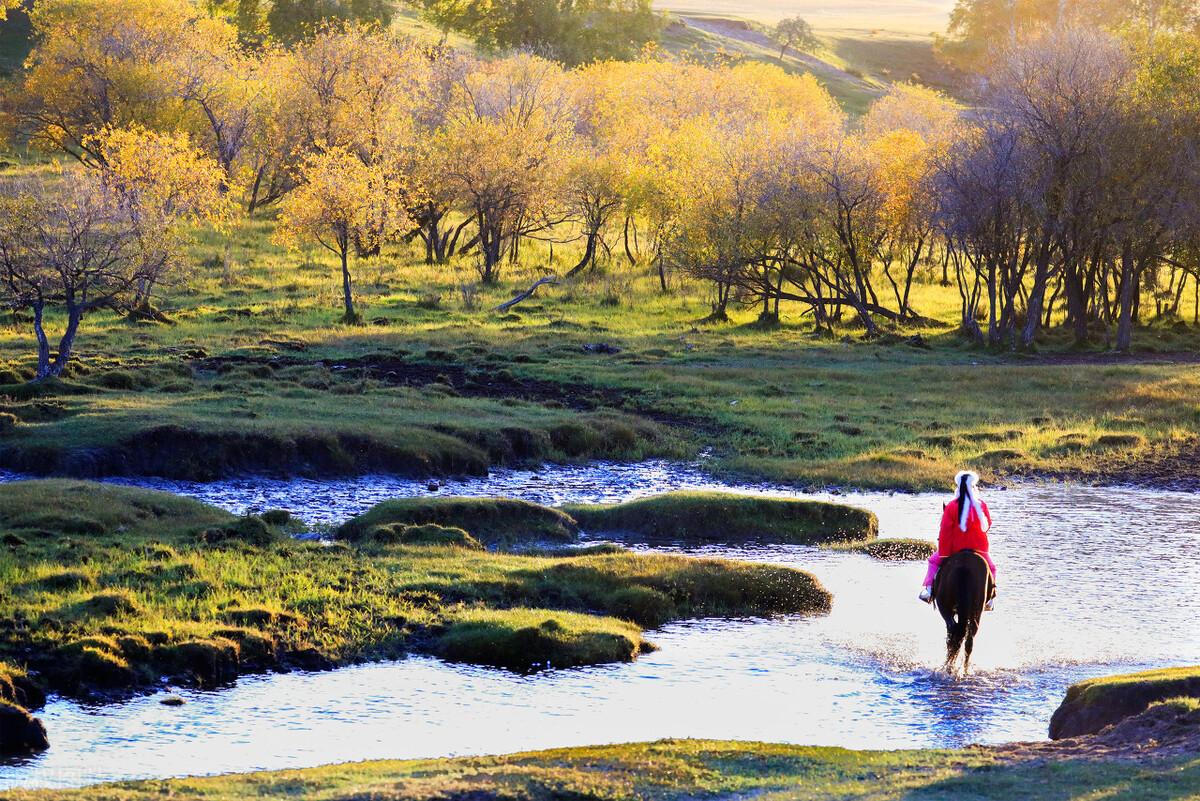 |郭进拴|绝美的坝上