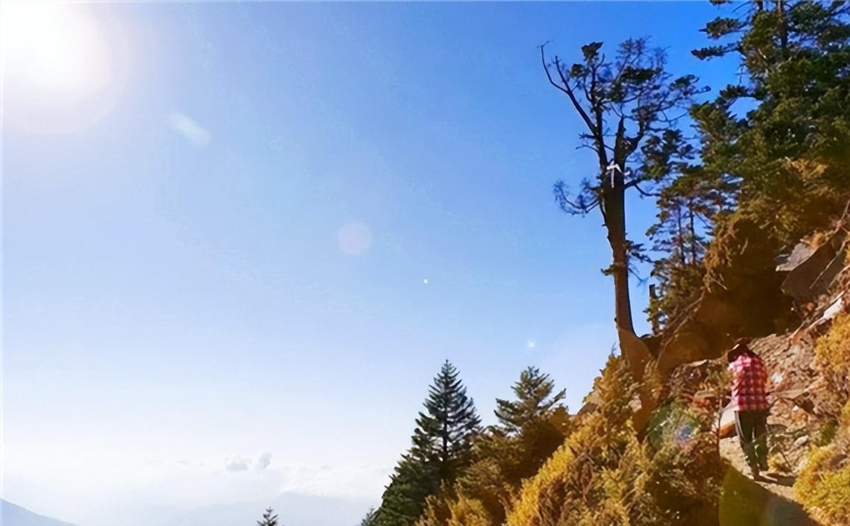 案例:夫妻山洞与世隔绝39年,妻子已兽化,爪子与撕咬力比野兽还强