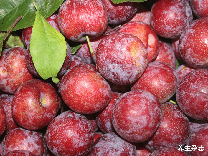 李子|吃1次顶10斤李子，甲科主任：若你喜欢吃，甲状腺或会很感谢你