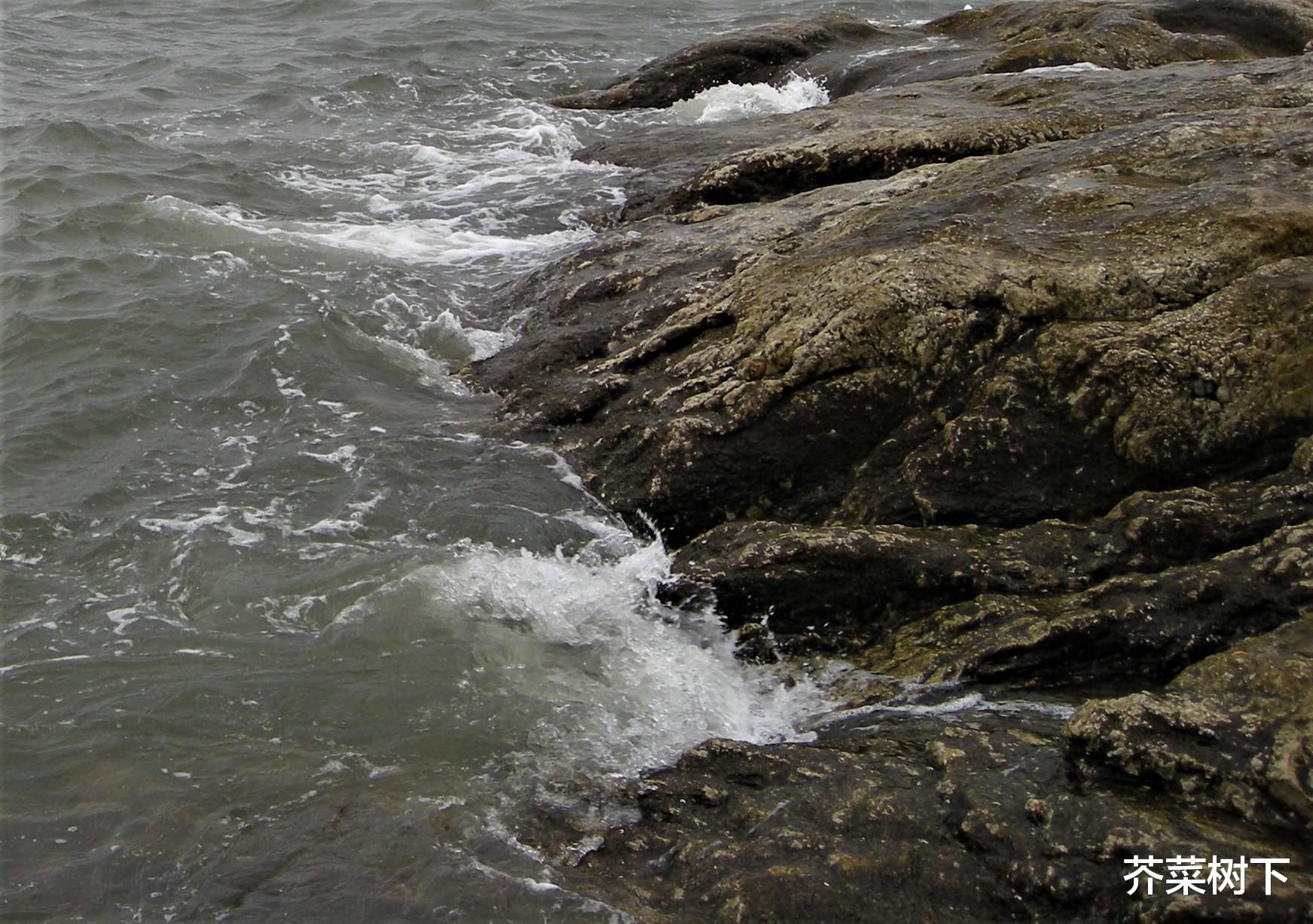 |有效社交，需要取舍