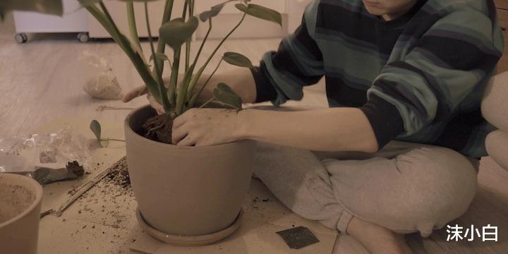 小房子并非要“去客厅”化:他家50㎡,一体的客餐厨,更温暖!