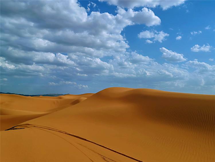 宁夏|除了枸杞,宁夏景点,你知道多少?