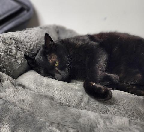 三星|三星S22Ultra评测:内置Spen,搭载1亿像素摄像头、骁龙8处理器