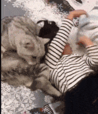 保安|着急给姑娘找工作的妈妈该有多操心？哈哈哈保安这个工作可以一试