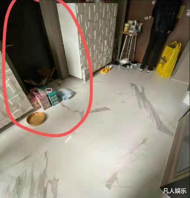 李靓蕾|局面反转？开玩笑，李靓蕾发文“一举四得”，王力宏根本不是对手