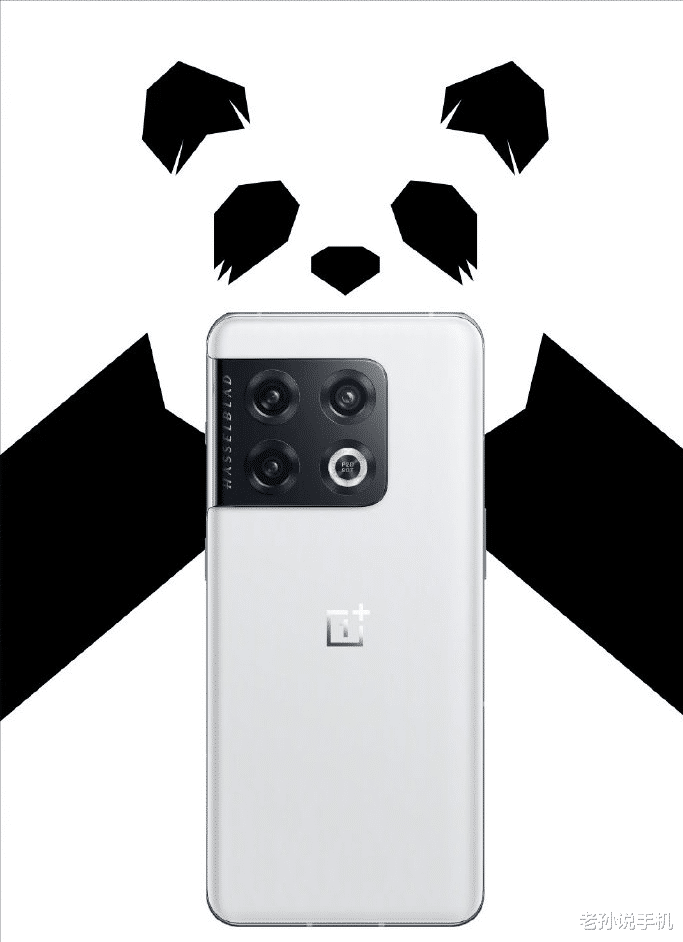 显示器|5799元！一加10Pro“熊猫”黑白配色版本来了，512GB大内存！