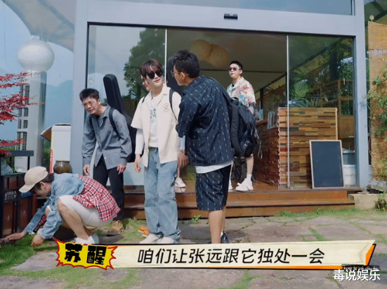 苏醒|苏醒的婚恋状况，被他一句话自曝，单身的张远无辜受伤