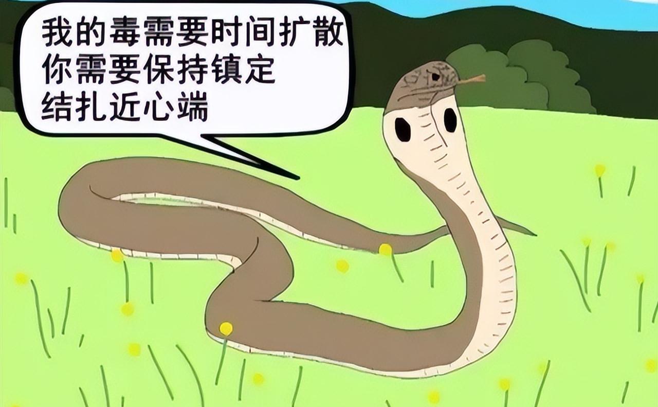 我国陆地第一毒蛇,性情温顺,不怕雄黄,为何常常攻击夜钓人?