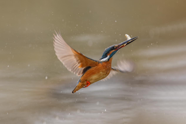 摄影师专访 | 王伟:玩摄影,要保持一颗平常心