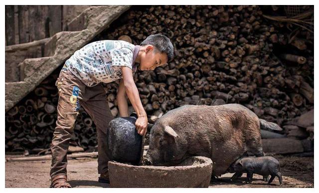 |“中国首善”陈光标,终究为自己的“高调”付出了代价