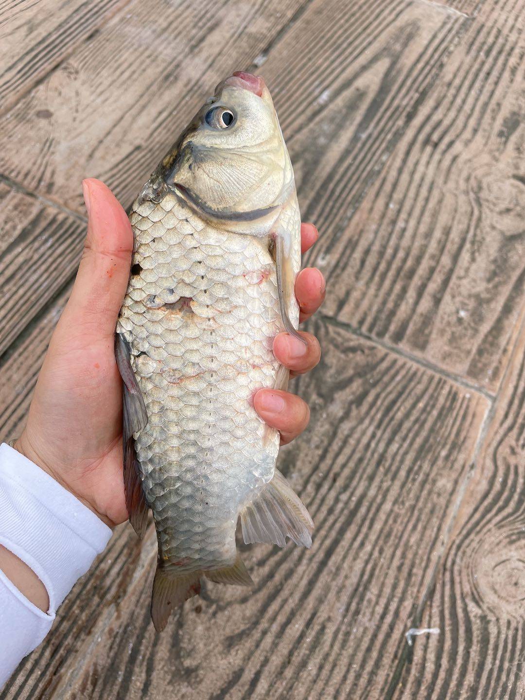 咖啡|这种天气就想喝点咖啡，吹着江风，喝着咖啡，再钓鱼