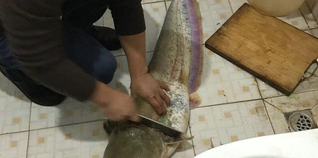 深圳市|深圳：废弃停车场积水后变“鱼塘”，钓鱼人：里面有几十斤的大鱼