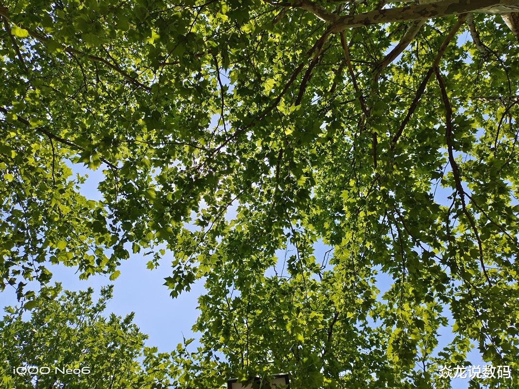 曲面屏|旗舰配置，中端价格，iQOO Neo6全面体验