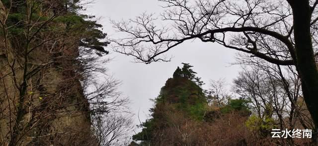 松鼠|为了看云海，爬了个寂寞的山，一路上看到的松鼠比人多
