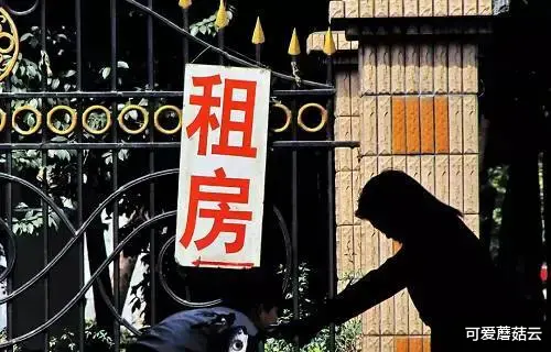 房管局|房客：房东，公司倒闭了，我没有收入了，能不能减免一些租金？