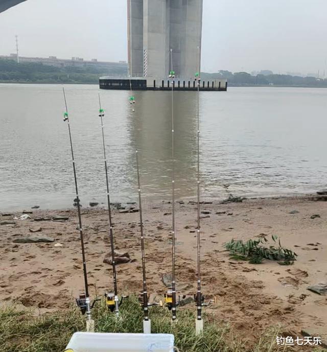 |广州男子珠江夜钓,意外钓到一具“浮尸”,淡定直播引发热议