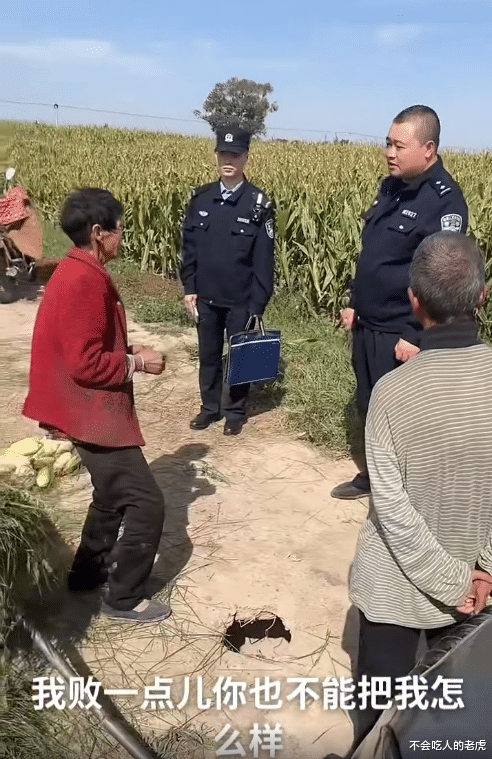 厉害了!老头偷玉米被抓躺地不起,反讹种地主人30万元,仗着年龄大故意丢人败兴!