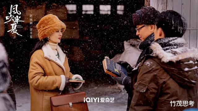 伊能静|收视率女王赵丽颖新剧《风吹半夏》再创辉煌，为何难以进入电影圈