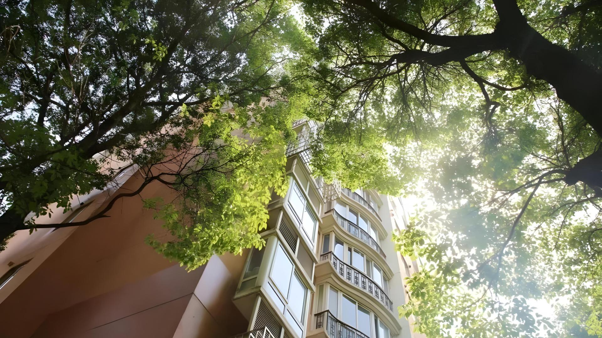 屋内采光差，3个小技巧轻松提亮空间采光