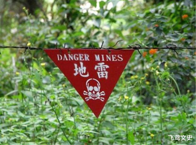 二战后全球埋有1亿颗地雷,排雷本需4千年,却让一动物轻松解决了
