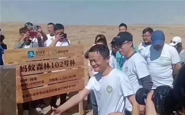 支付宝|19年马云承诺每年在沙漠里种1亿棵树,4年过去,现在树怎样了