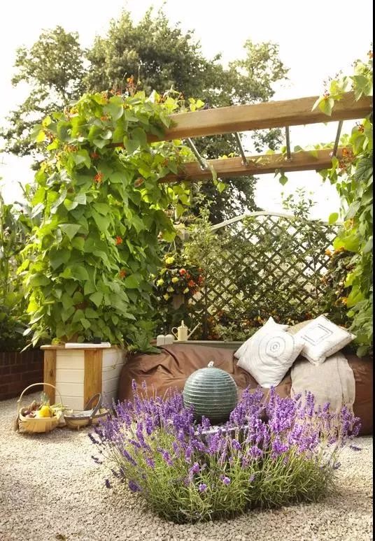 一个简单的花架,却美了整个院子