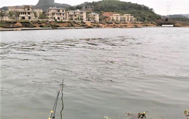|为何涨水好钓鱼、退水难钓鱼？野河走水如何垂钓？在哪些位置好钓