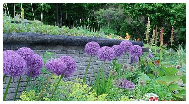 磨西镇|北海道赏花不要只去富良野！花之乡「惠庭」给你超好玩的吃花体验