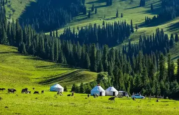 离职|如果领导提出改革，自己不想跳槽怎么办？