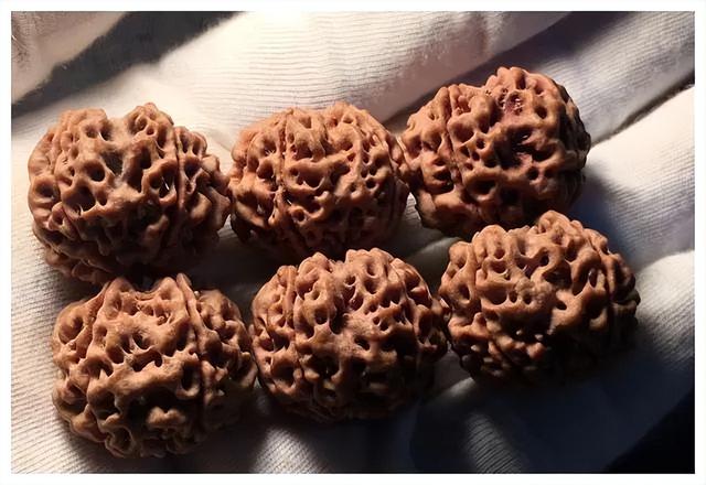 雕刻|金刚菩提盘玩手册,入门篇