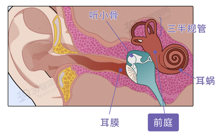 睡眠|为什么有的人一坐车就想睡觉?原来,他们的身体发生了变化